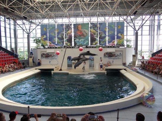 Dolphinarium